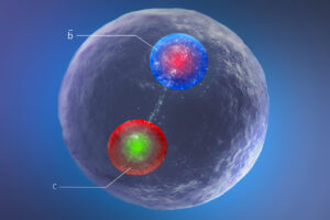 nuova particella cern