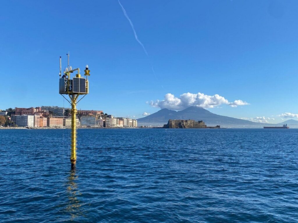 plancton golfo napoli