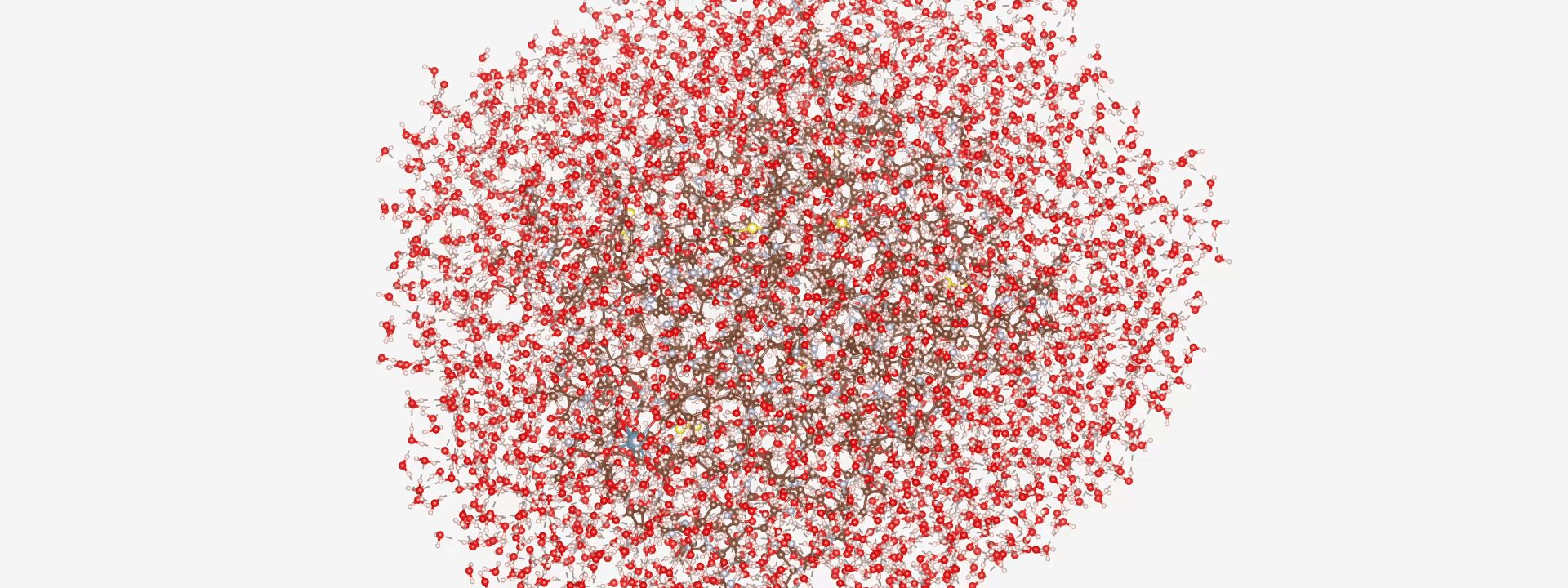 proteina record da 12.635 atomi