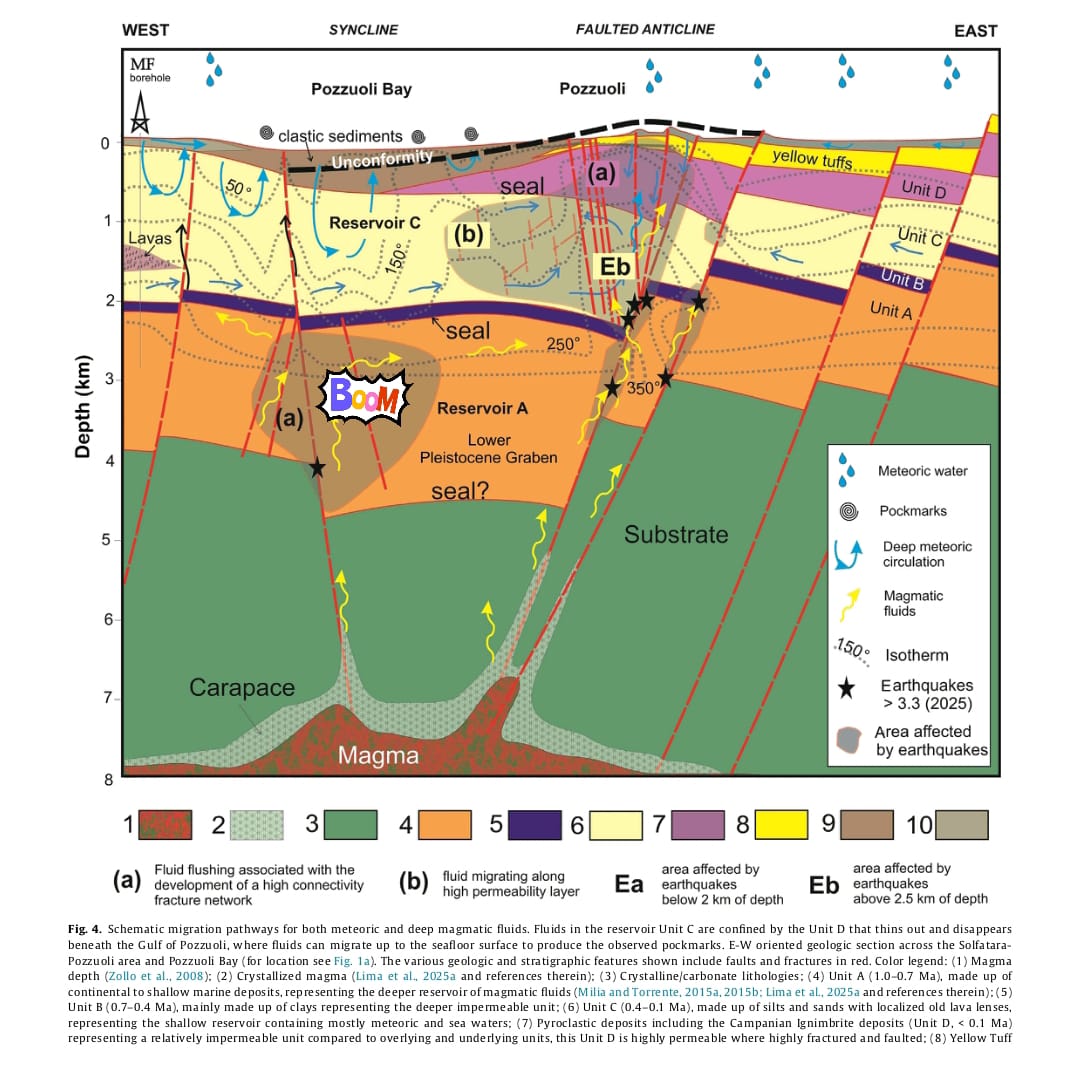 terremoto campi flegrei studio scafetta