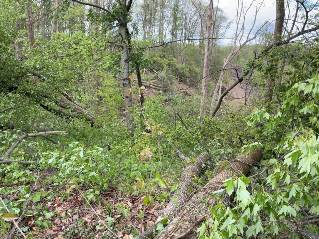 tornado west virginia usa