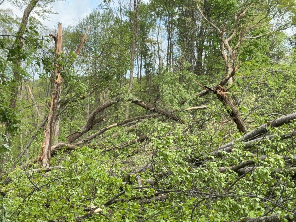 tornado west virginia usa