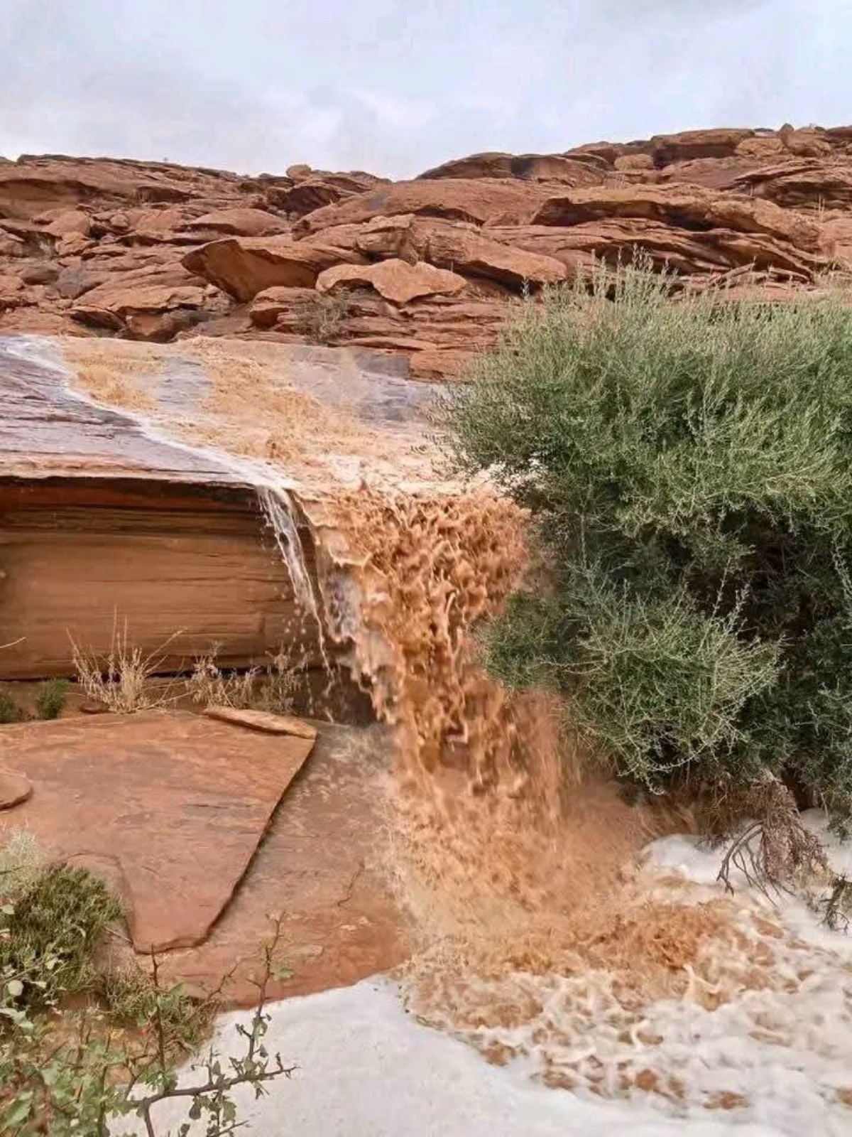 Alluvione Algeria 29 giugno