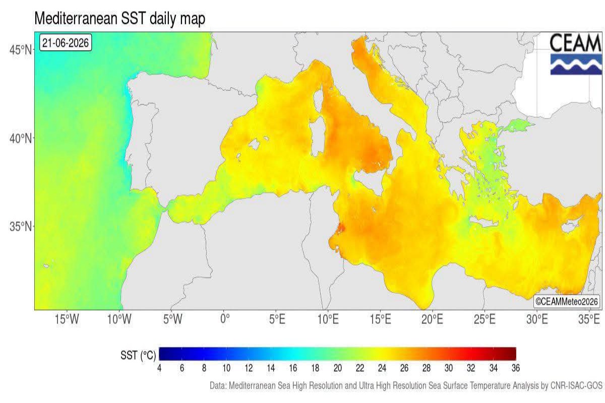 Anomalie giornaliere Mediterraneo 
