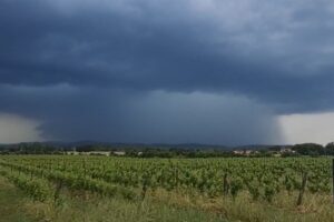 Downburst Arezzo 1 giugno