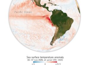 El Niño 2026