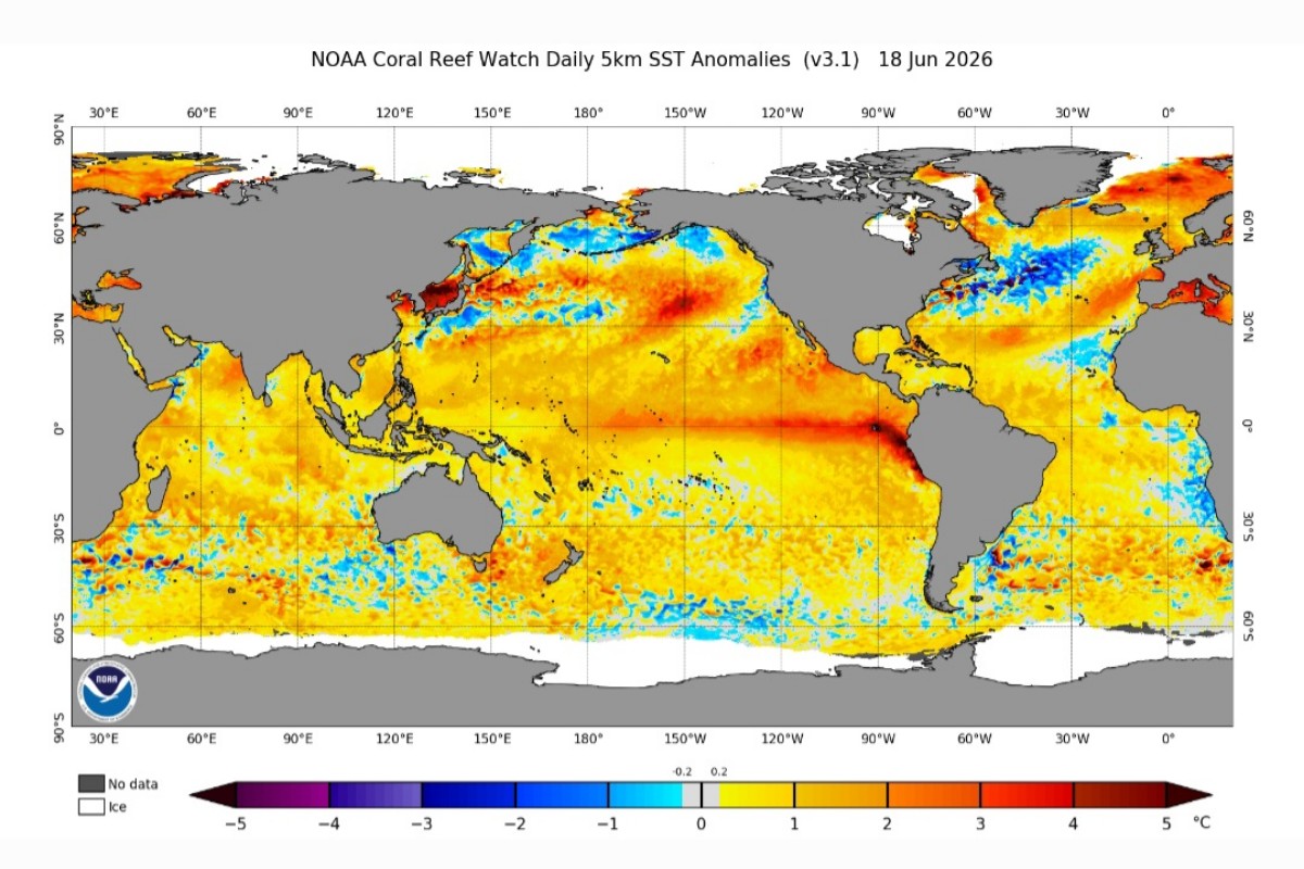 El Niño giugno 2026