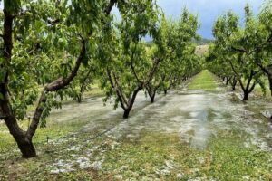 Grandine Grecia 4 giugno