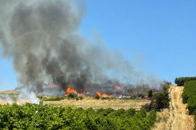 Incendio in Abruzzo - foto da TelemaxTv