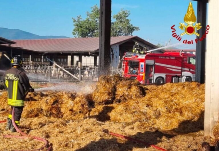 Incendio Pisa