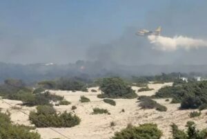 Incendio Puglia