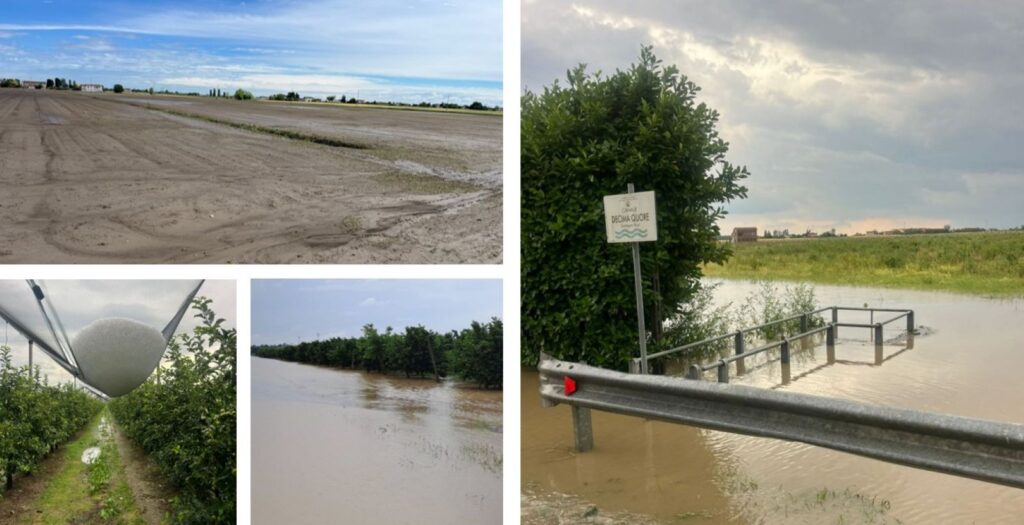 Maltempo Veneto Rovigo