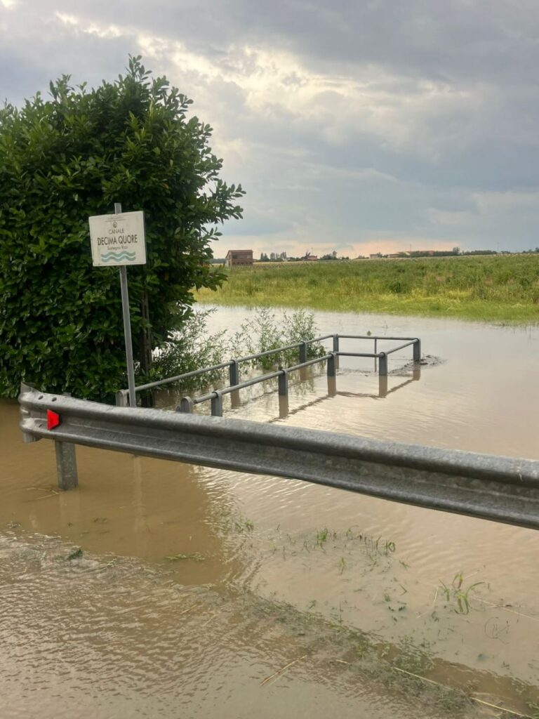 Maltempo Veneto Rovigo agricoltura