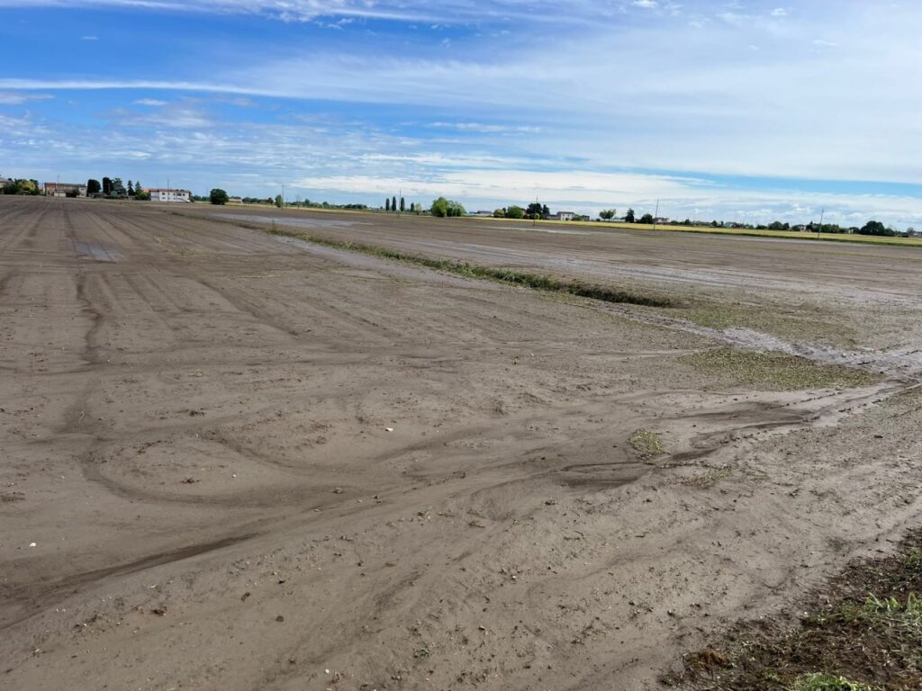 Maltempo Veneto Rovigo agricoltura