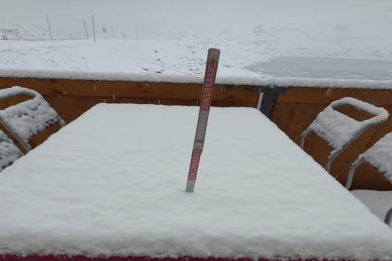Neve Svizzera 10 giugno