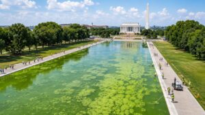 Reflecting Pool di Washington