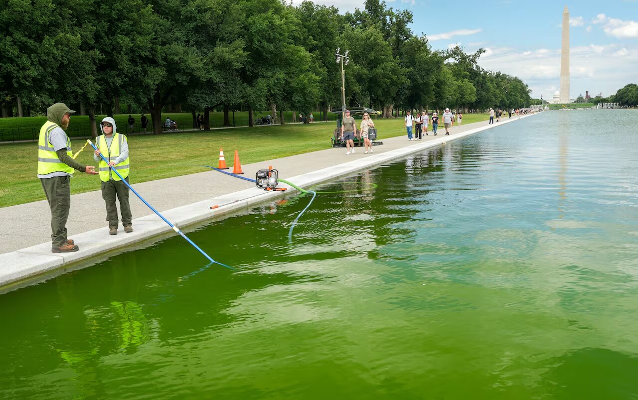 Reflecting Pool di Washington foto (2)