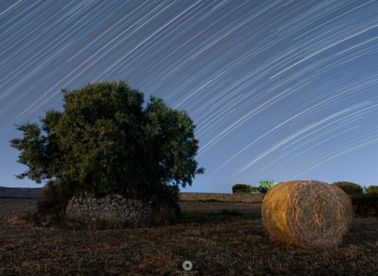 Star Trail Carrubbo