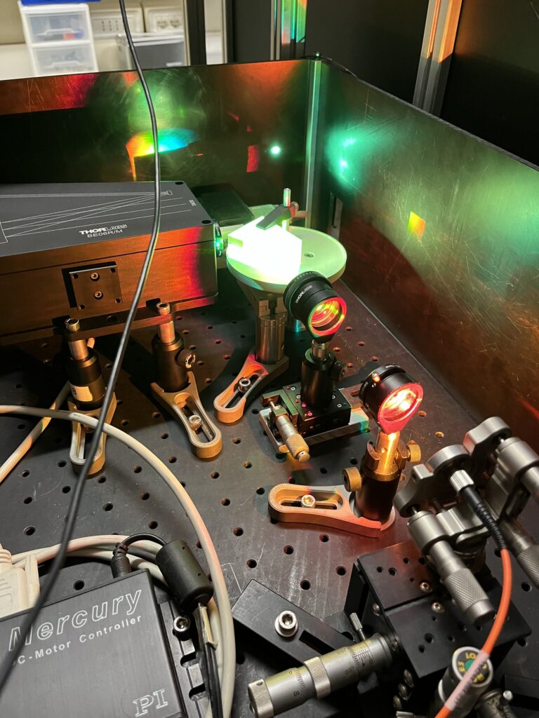 Studio pulcini