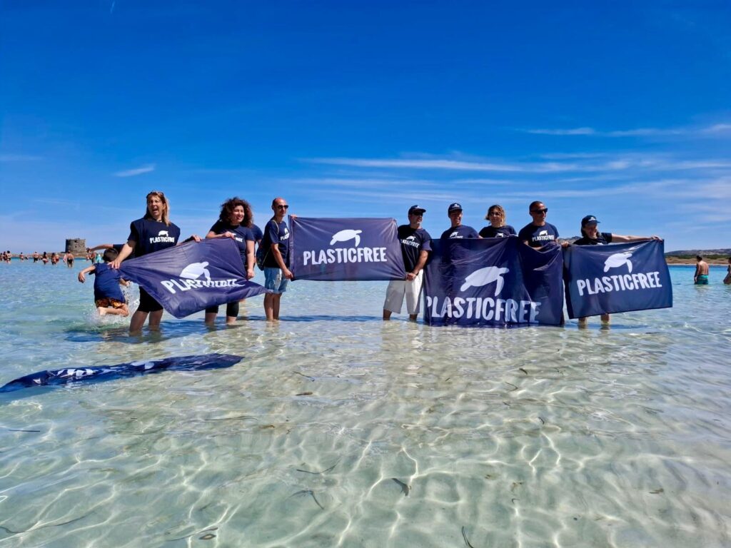 Tartarughe marine