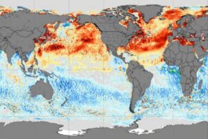 Temperature oceani emisfero nord e sud