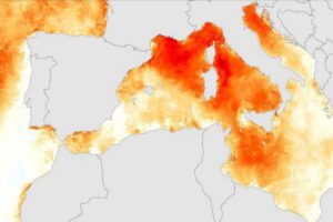 Temperature superficiali Mediterraneo 22 giugno