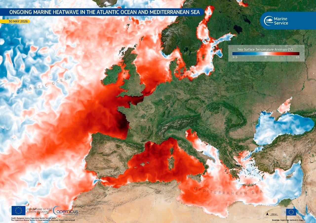 anomalia temperature mare 30 maggio 2026