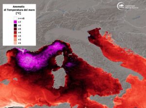 anomalie mediterraneo