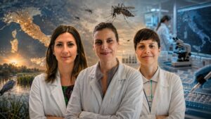 arbovirus