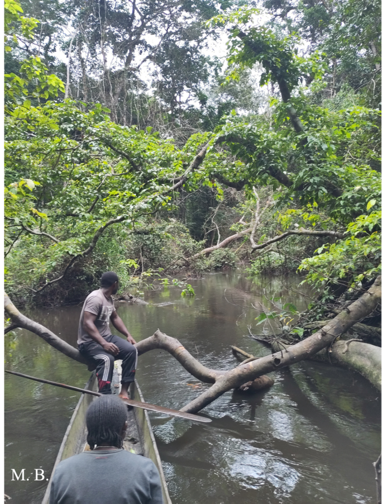 clima congo