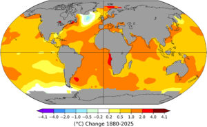cold blob atlantico