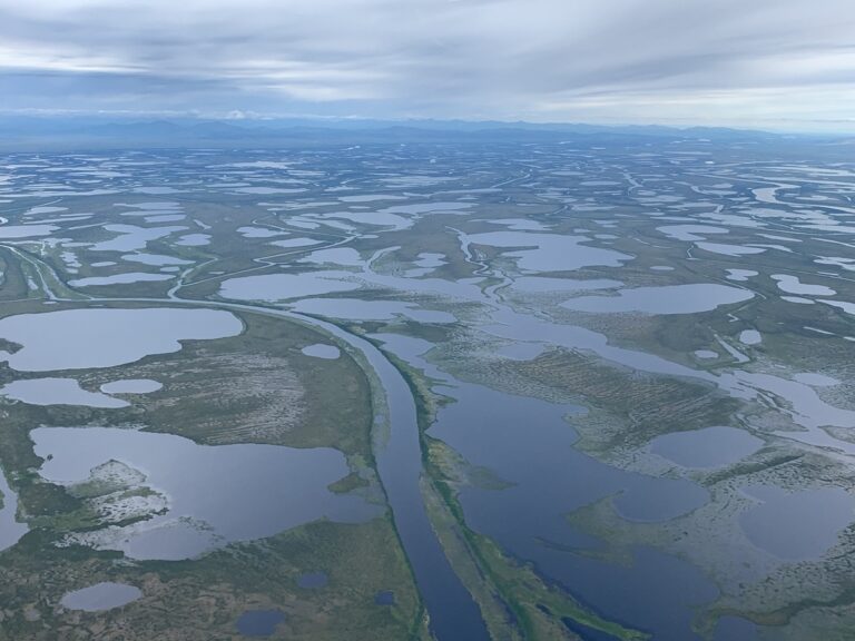 delta kobuk alaska artico