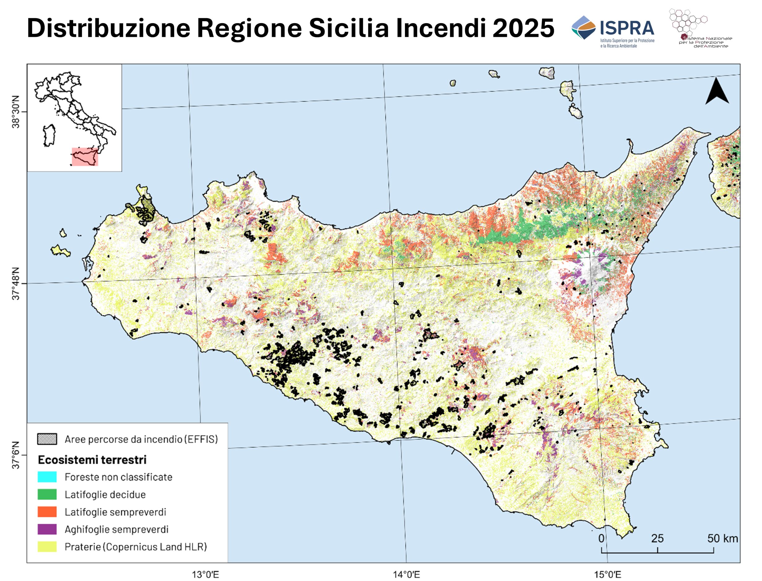 incendi sicilia