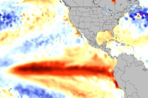 Anomalie termiche oceano Pacifico ECMWF