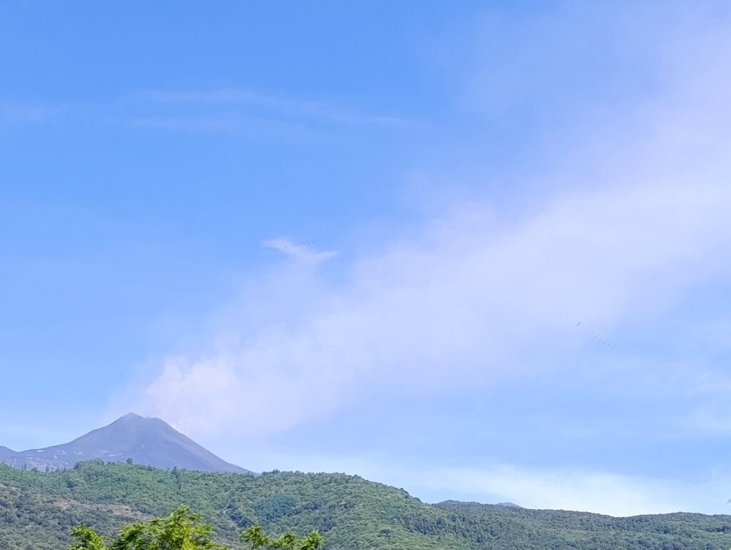 etna gas cenere oggi