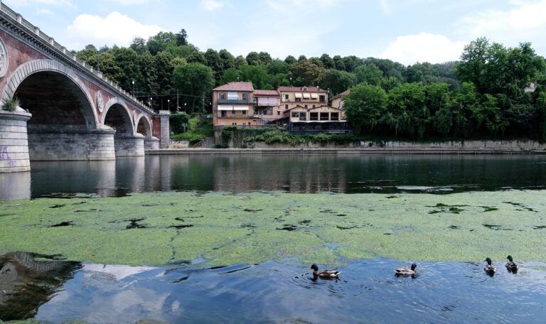 Fiume Po siccità