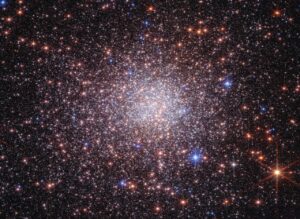 frammento fossile del bulge terzan 5