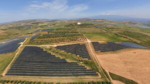 impianto fotovoltaico Iberdrola Fenix sicilia