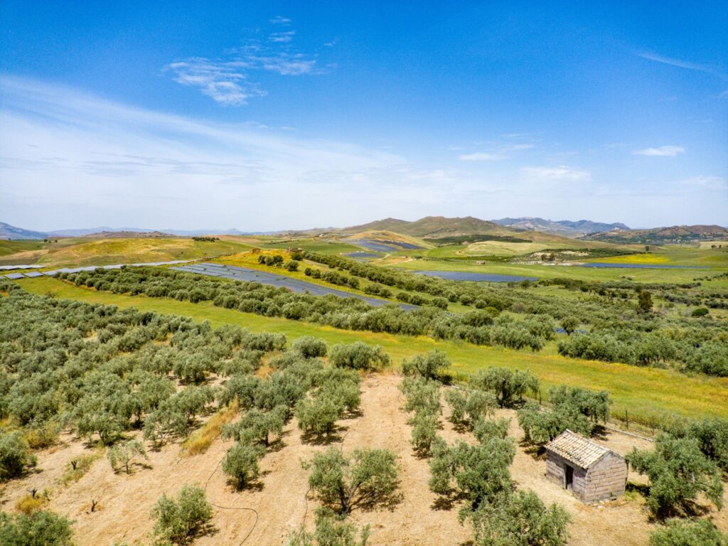 impianto fotovoltaico Iberdrola Fenix sicilia