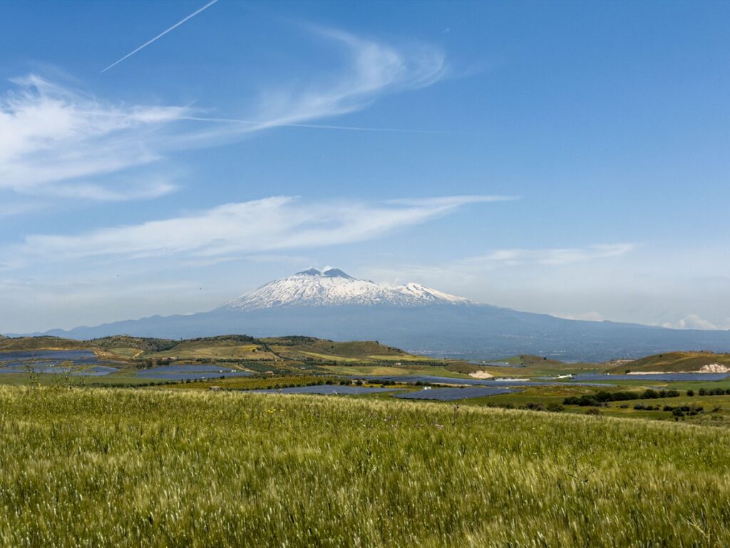 impianto fotovoltaico Iberdrola Fenix sicilia