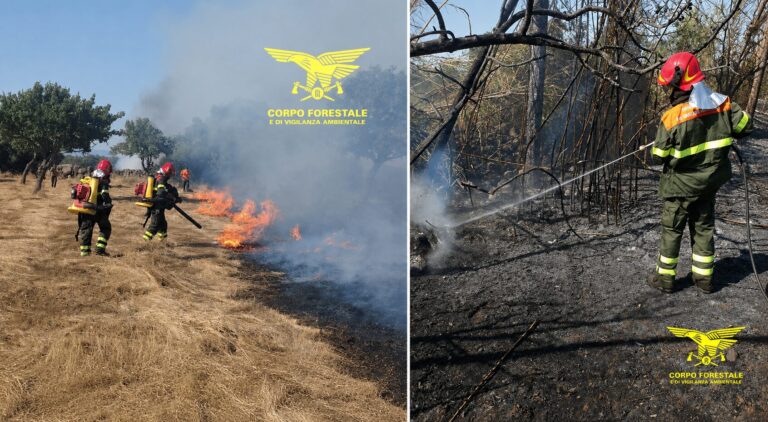 incendi sardegna