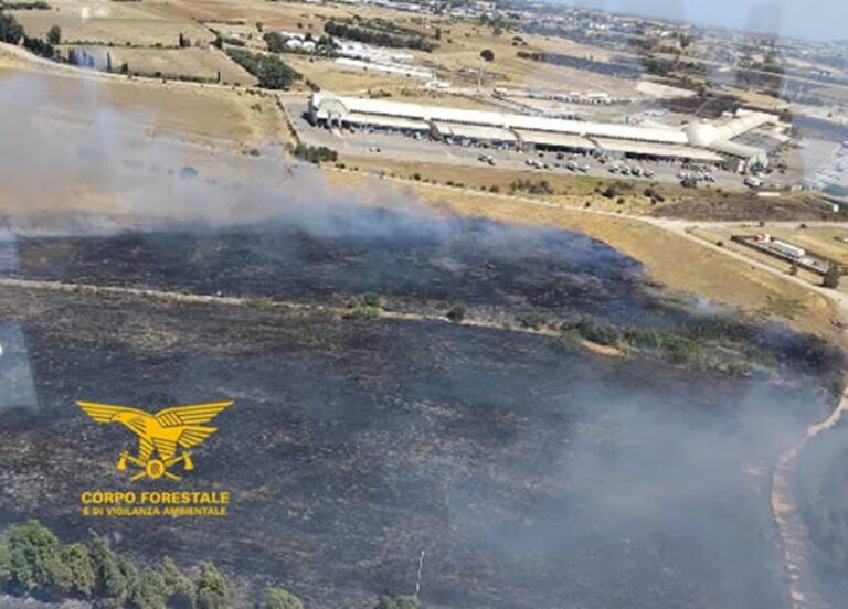 incendi sardegna