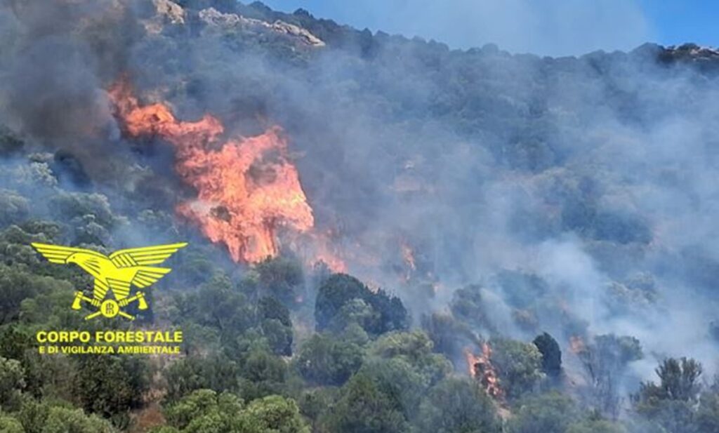 incendi sardegna