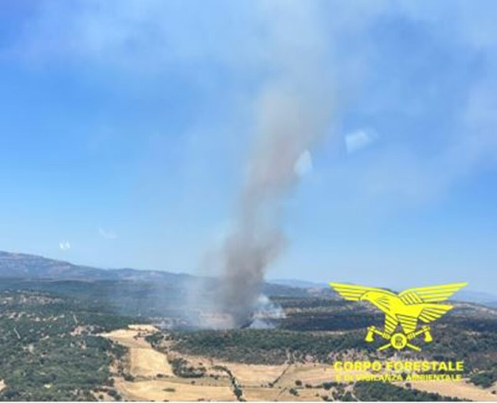 incendi sardegna