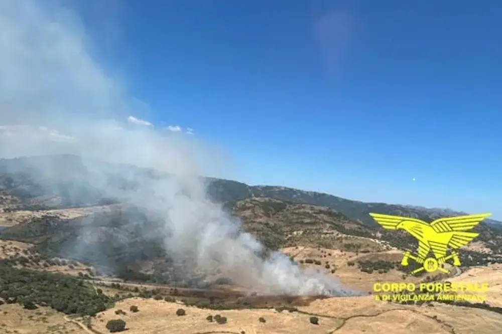 incendi sardegna