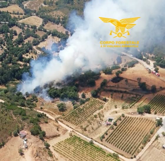 incendi sardegna