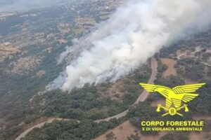 incendi sardegna