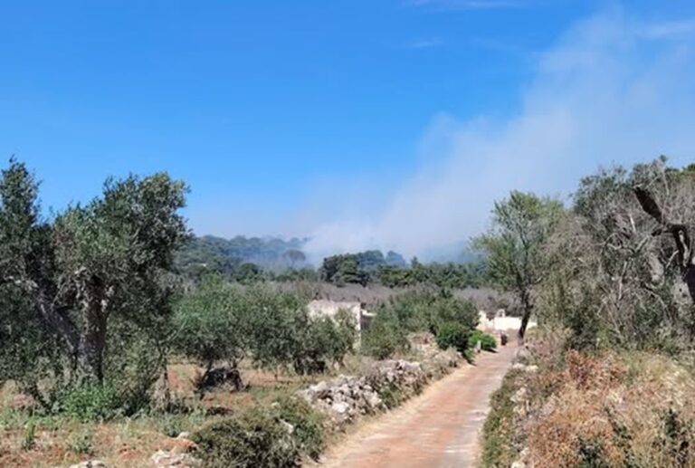 incendio manfio puglia