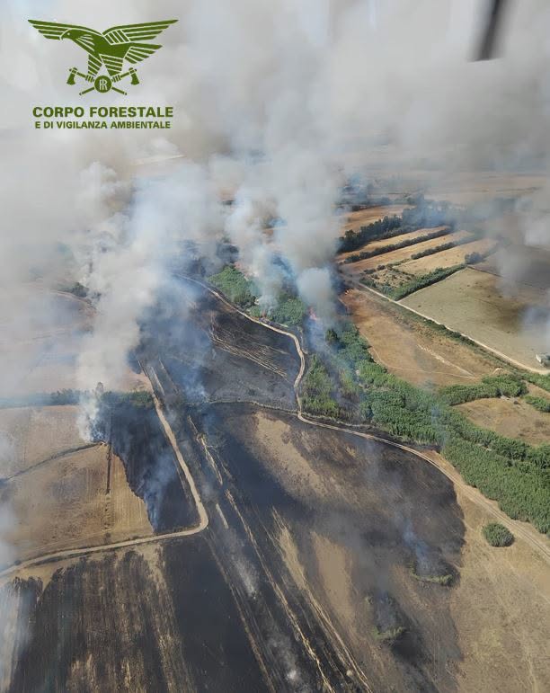 incendio serramanna sardegna