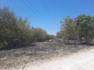 incendio sgonico friuli